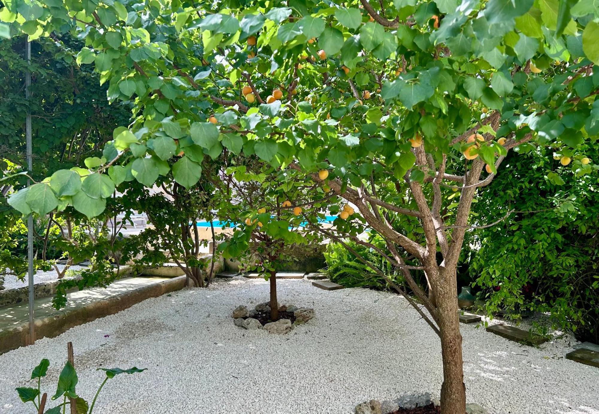 B&B Don Alessandro Surbo Exterior foto